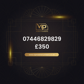Memorable phone number 11 07446829829 - premium VIP UK number for sale